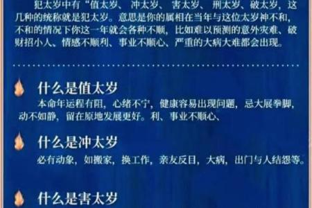 喜命的含义是什么 如何理解这一人生哲学