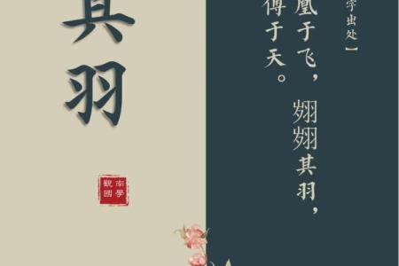 兮，寓意自由与宁静的名字选择