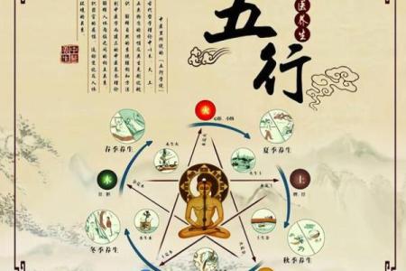 藤字五行解析：揭开其背后的五行奥秘与影响