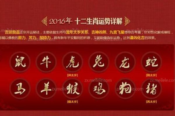 属相与运程的关系:如何根据生肖调整生活规划? 属相与运程的关系:如何根据生肖调整生活规划?