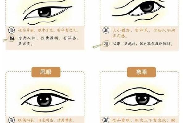 眼睛突出的命理解析与影响 眼睛突出的命理解析与影响
