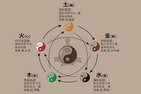 生辰八字斤两算法:教你如何通过八字推算人生的财富与运势 生辰八字斤两算法:教你如何通过八字推算人生的财富与运势