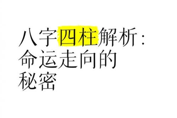 从零开始学四柱八字,破解命运的秘密 从零开始学四柱八字,破解命运的秘密