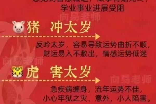 九写运势大爆发2024年万年历权威解读,快来查收 九写运势大爆发2024年万年历权威解读,快来查收