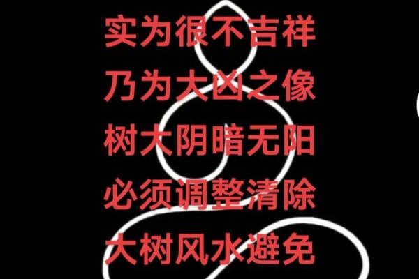 槐树家居风水布局与运势提升的奥秘 槐树家居风水布局与运势提升的奥秘