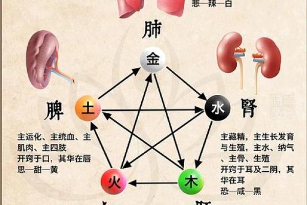 通过五行测试,了解你的人生关键点 通过五行测试,了解你的人生关键点