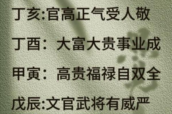 乙亥命格如何影响个人命运 乙亥命格如何影响个人命运