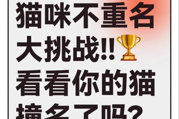 让你的宠物名字更具个性化的五个技巧 让你的宠物名字更具个性化的五个技巧