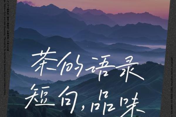 品味生活,从高雅名字开始 品味生活,从高雅名字开始