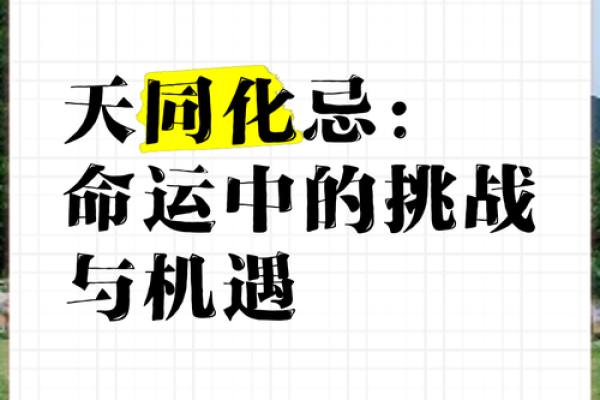 阴命人命运的挑战与机遇 阴命人命运的挑战与机遇