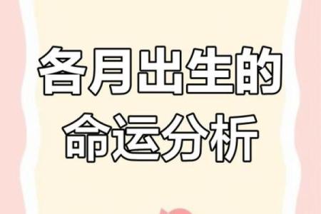 阴历出生的人命运如何解析