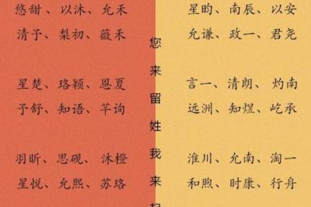 宝宝名字的文化寓意与命名建议