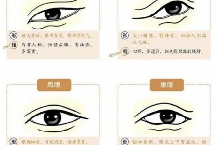 眼睛突出的命理解析与影响