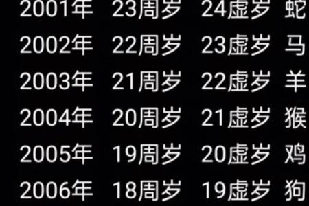 属马人本命年如何进行财富积累