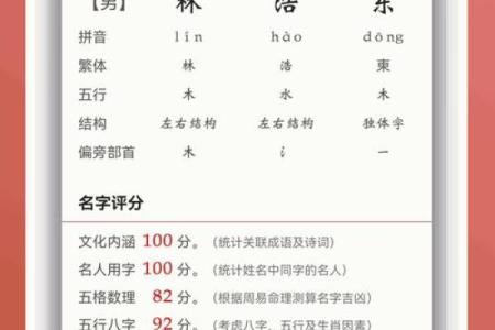 一键查询！生辰八字取名测名软件助你选出幸运名字