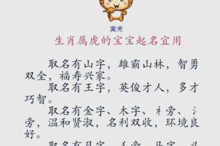 生肖鸡宝宝起名风格解析：现代与传统的结合