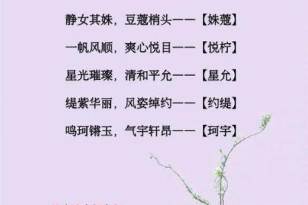 叶姓宝宝起名大全与指南：如何挑选独特寓意的名字
