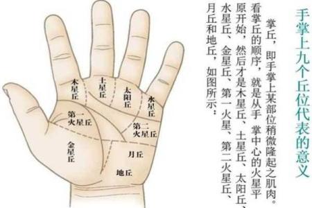 小指的命运之谜：手相分析与人生轨迹