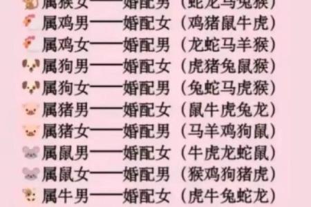 属猪和属鸡的婚配是否合适？解析两者的性格与运势契合度
