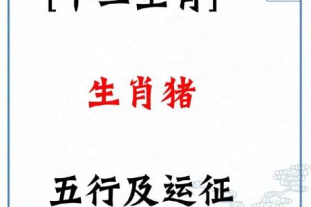 结合生肖特征，猪年宝宝起名的最佳选择