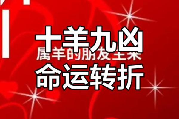 女属羊的运势走势与未来规划 女属羊的运势走势与未来规划