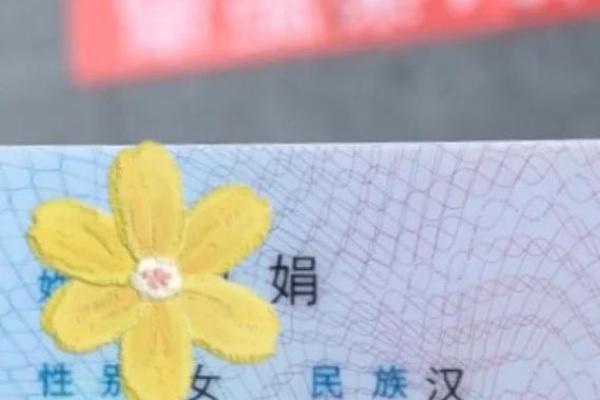 改名字申请的流程与注意事项解析 改名字申请的流程与注意事项解析