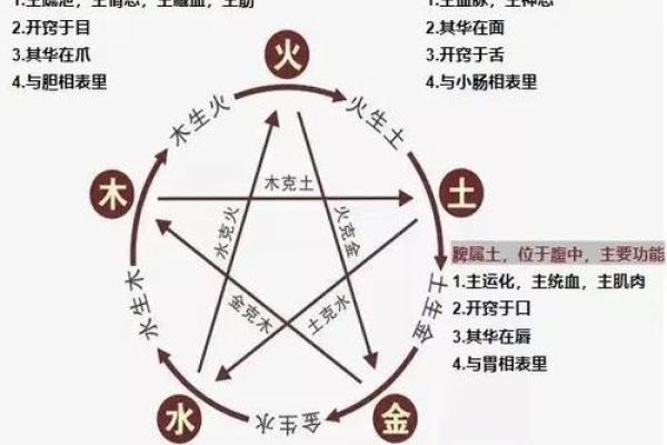 五行与速度的奥秘:如何通过五行提升行动力和效率 五行与速度的奥秘:如何通过五行提升行动力和效率