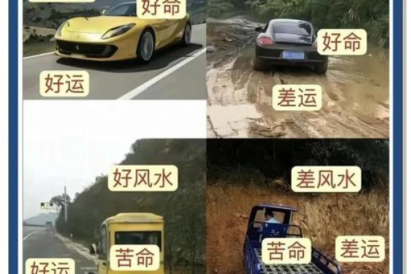 阳命水相人性格特点与命运解析 阳命水相人性格特点与命运解析