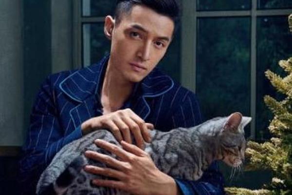 胡歌生辰八字揭秘:命运背后的惊人真相竟然是这样! 胡歌生辰八字揭秘:命运背后的惊人真相竟然是这样!