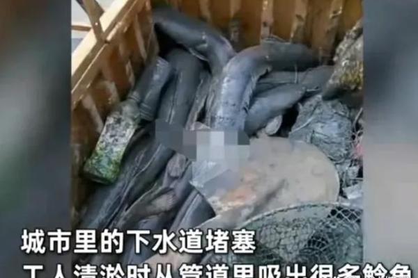 下水命的定义与分析 下水命的定义与分析