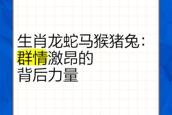 属马与属龙的缘分分析:两者是否天生合适 属马与属龙的缘分分析:两者是否天生合适