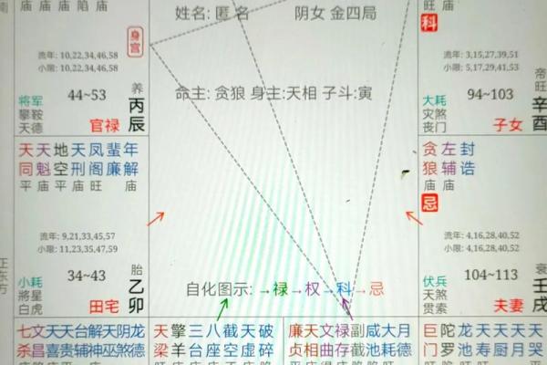 紫微星命的特征与命运解析 紫微星命的特征与命运解析