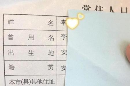 改名字申请的流程与注意事项解析