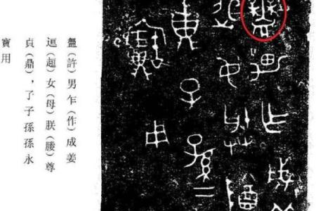楚名传世：探秘楚字的历史与文化深意