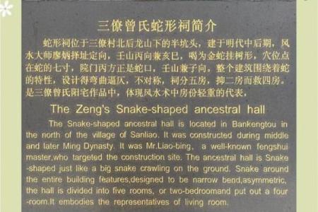 揭秘三僚风水大师网：如何通过风水改善生活质量