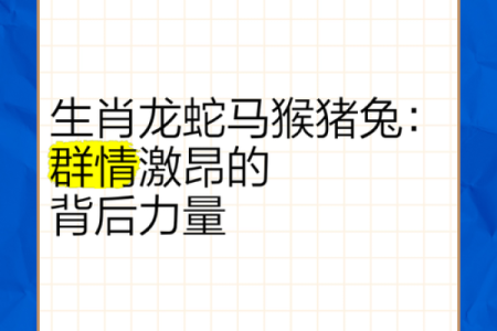 属马与属龙的缘分分析：两者是否天生合适