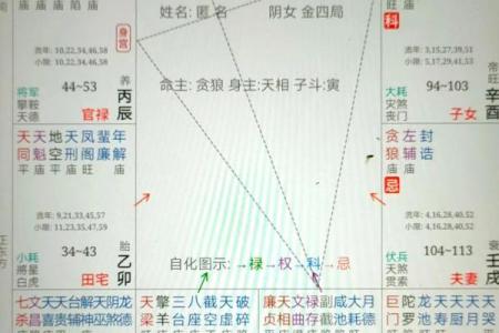 紫微星命的特征与命运解析