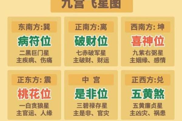 龙年运势解析与风水布局建议 龙年运势解析与风水布局建议