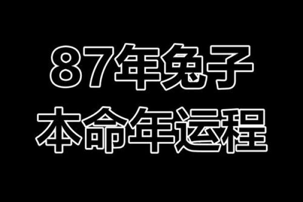 如何让本命年属兔的你运气更旺 如何让本命年属兔的你运气更旺