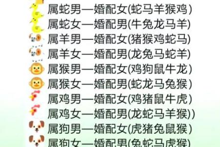 蛇男猪女配对的优缺点分析