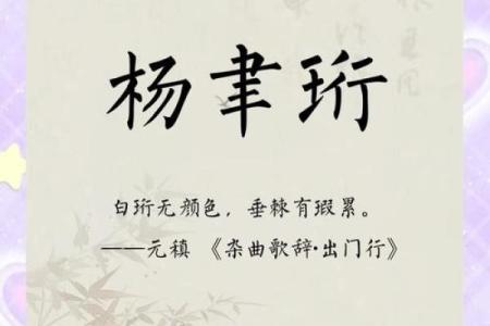 杨宝宝取名大全推荐