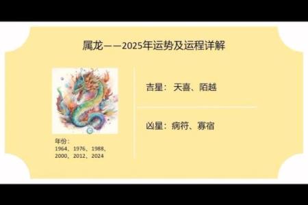 属龙人在的运势如何，注意事项与建议
