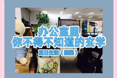 福州办公空间风水如何影响员工运势