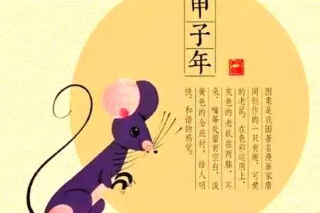 属鼠的幸运与挑战：如何把握命运的脉搏