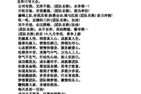 打造独特团队形象的名字大全