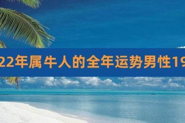 牛男在本命年如何找到自己的目标