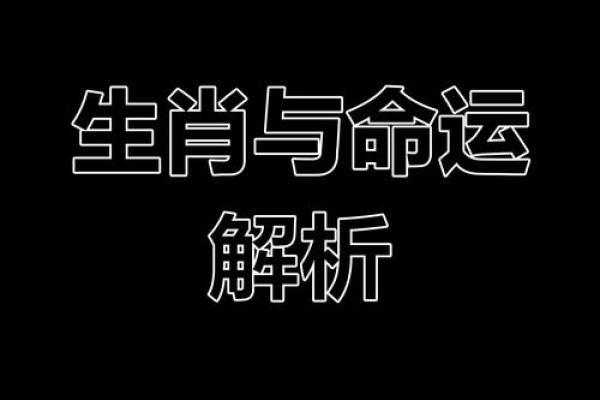 十二月生肖运势全解析:如何抓住的好运机遇 十二月生肖运势全解析:如何抓住的好运机遇