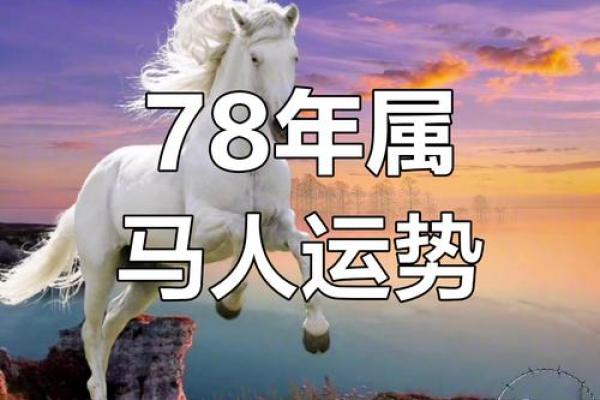 属马人本命年如何收获人生的丰盈 属马人本命年如何收获人生的丰盈
