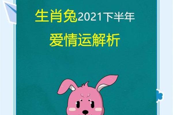属兔女性运势解析与生活建议 属兔女性运势解析与生活建议