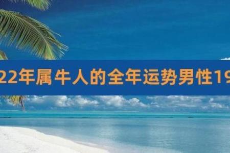 牛男在本命年如何找到自己的目标